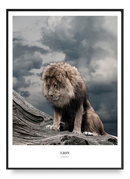 Ok Design Lion Poster 2026 Buy Now